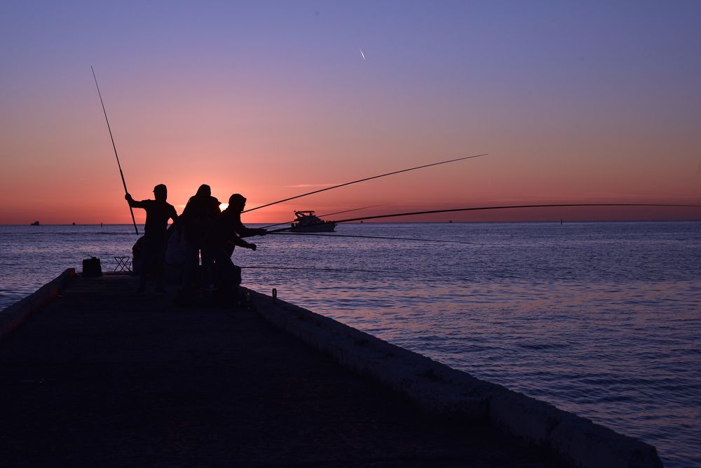 Photograph by Виктор Окнянский