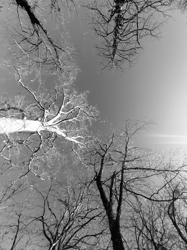Photo #6055648