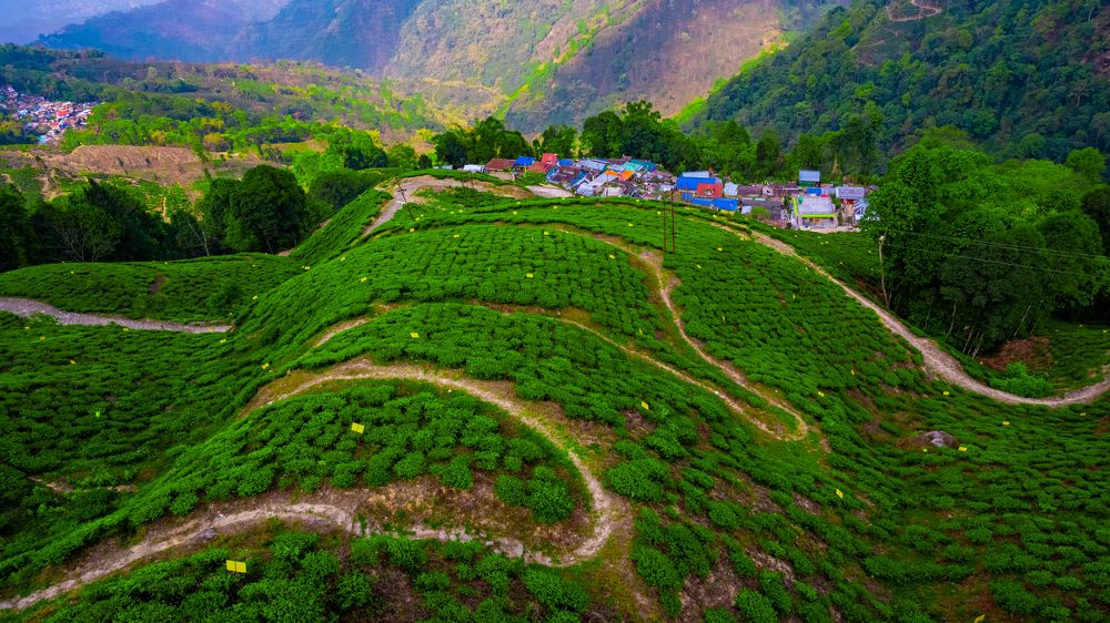 Photograph by Md Sabbir