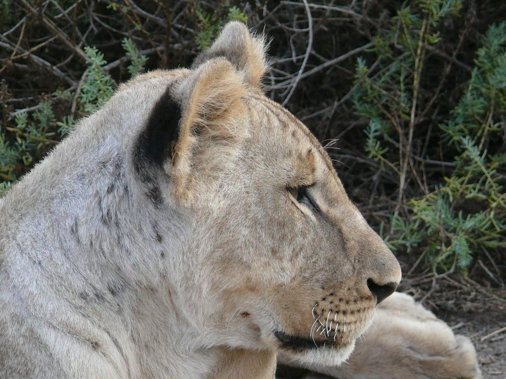 Photograph by Langat James