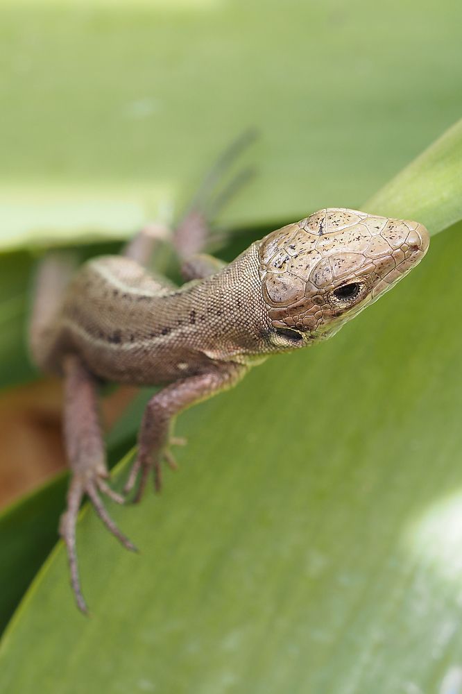 Photograph by Yana Marinova