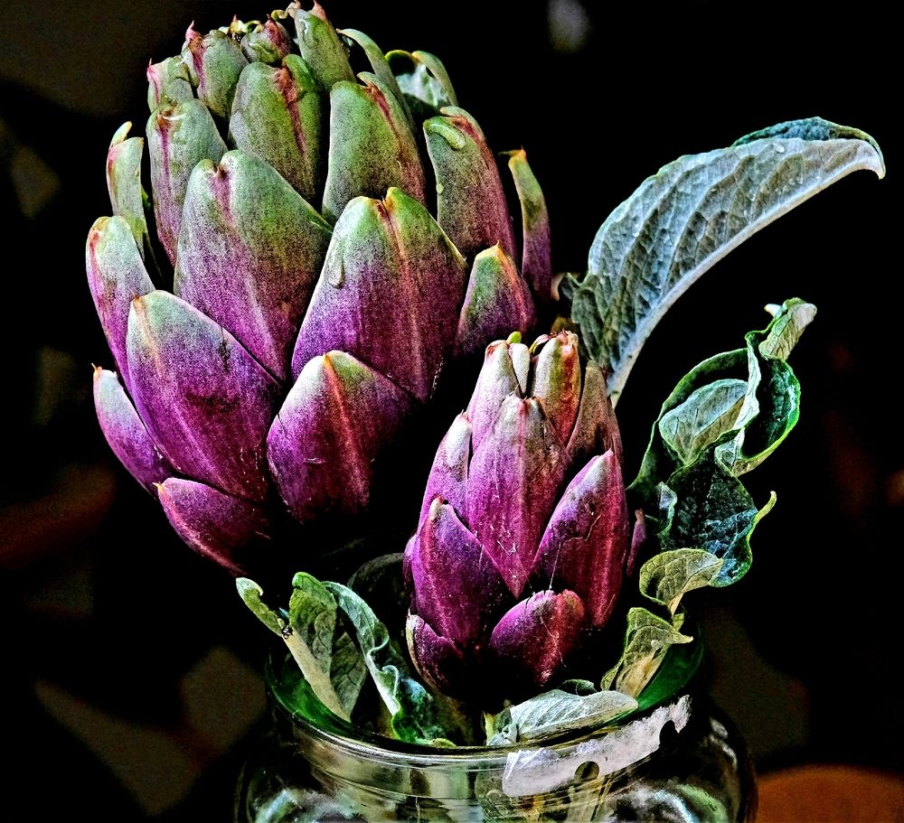 Photograph by Effie Zacharia