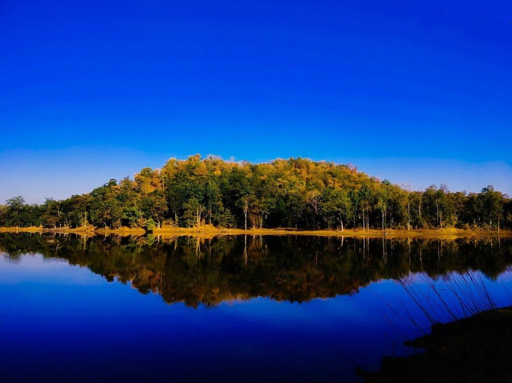 Photograph by Amit Sharma