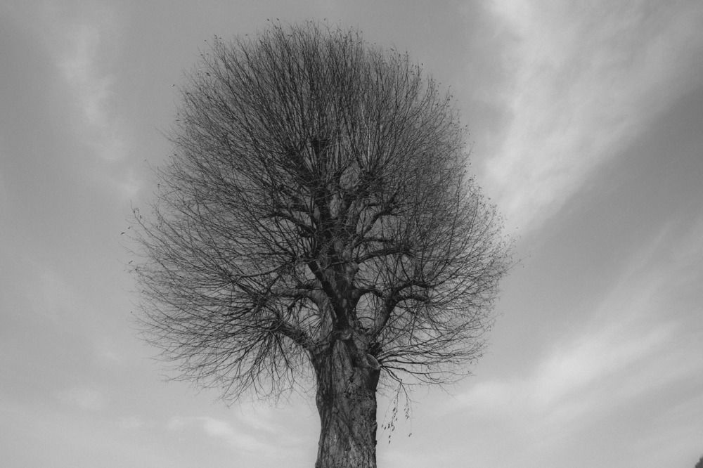 Photograph by Nada Trivunovic