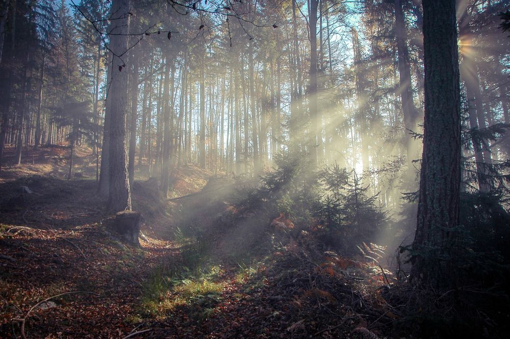 Photograph by Nada Trivunovic