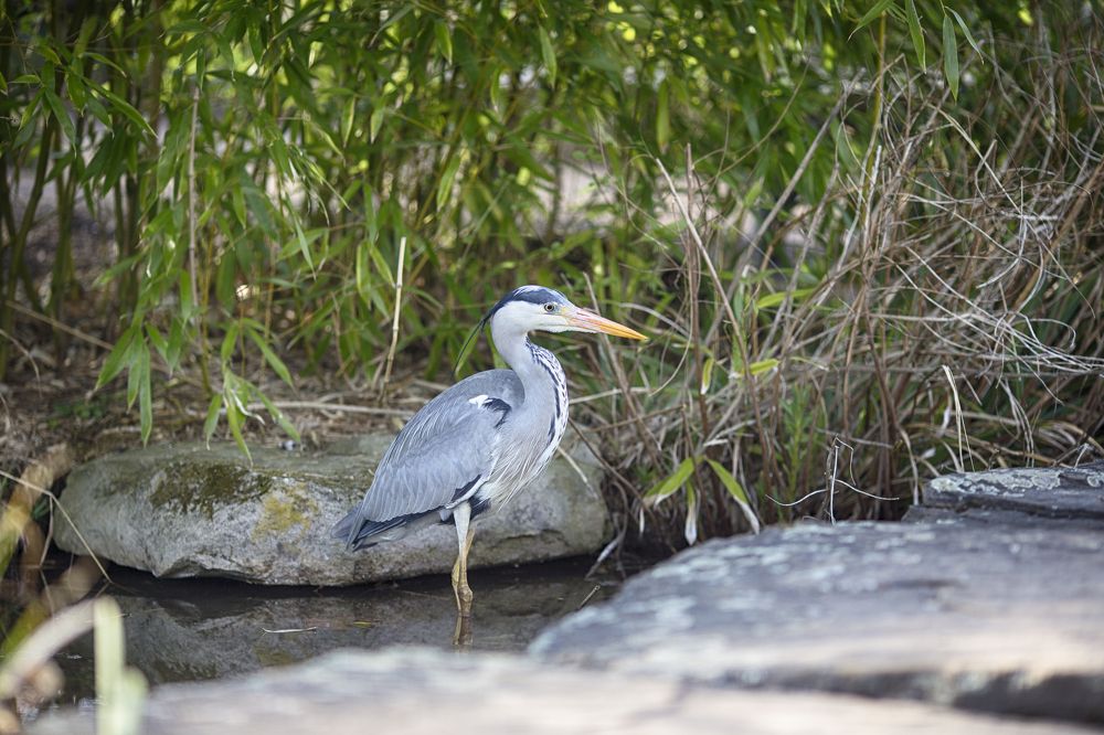 Photograph by Tatiana Kurilas