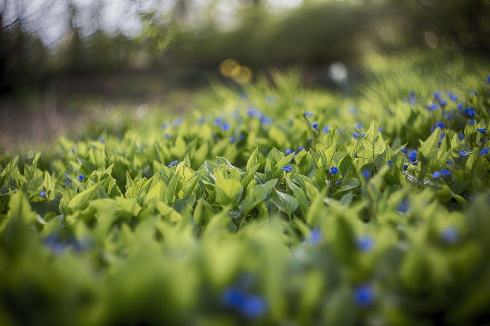 Photograph by Tatiana Kurilas