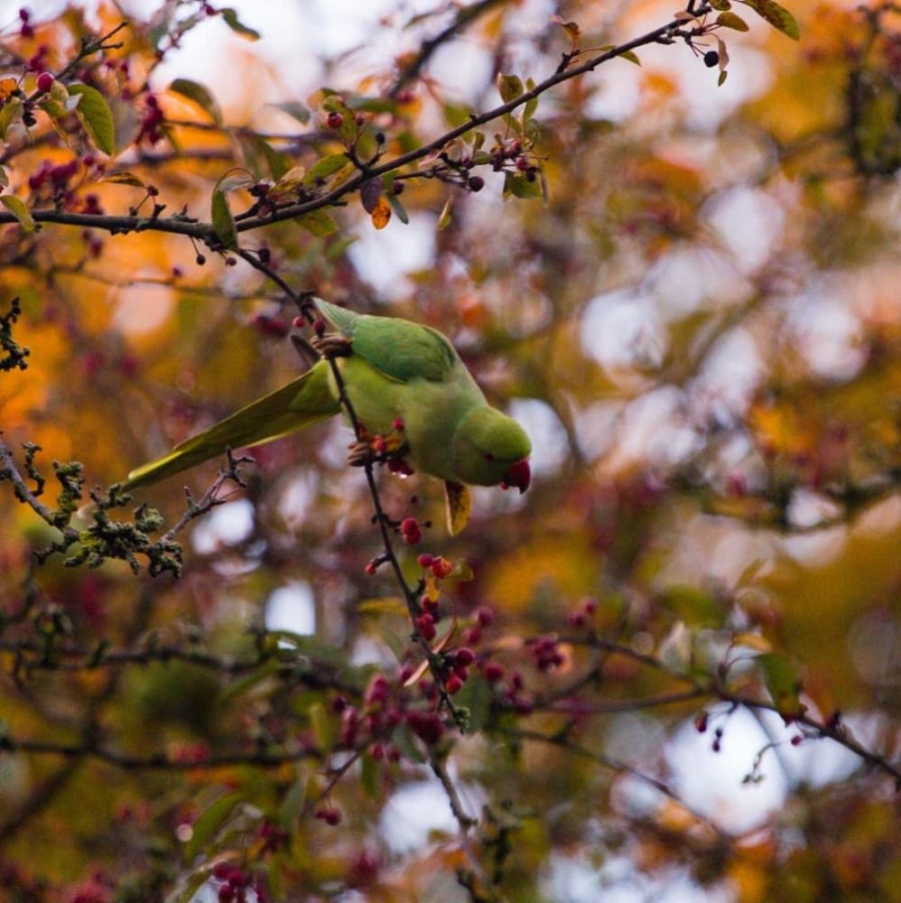 Photograph by Tatiana Kurilas