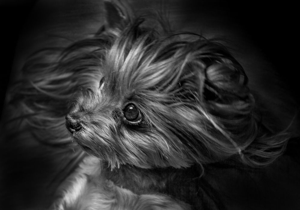 Photograph by юрий ященко