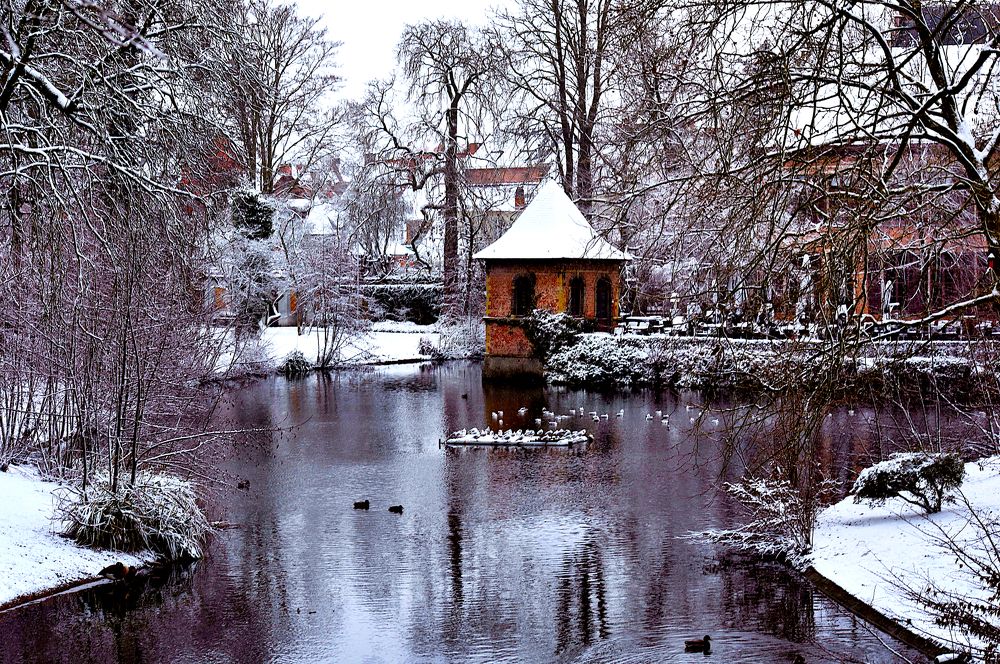 Фотография автора Livija Gotz