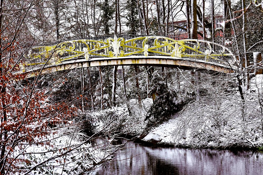 Фотография автора Livija Gotz