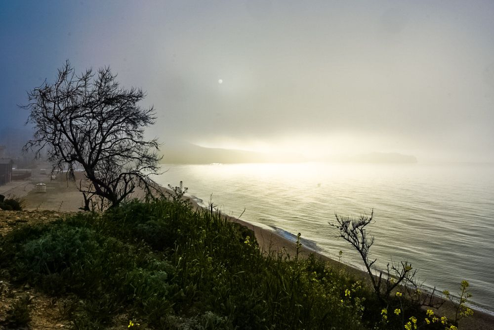 Photograph by Галина Аскольдовна Луковникова