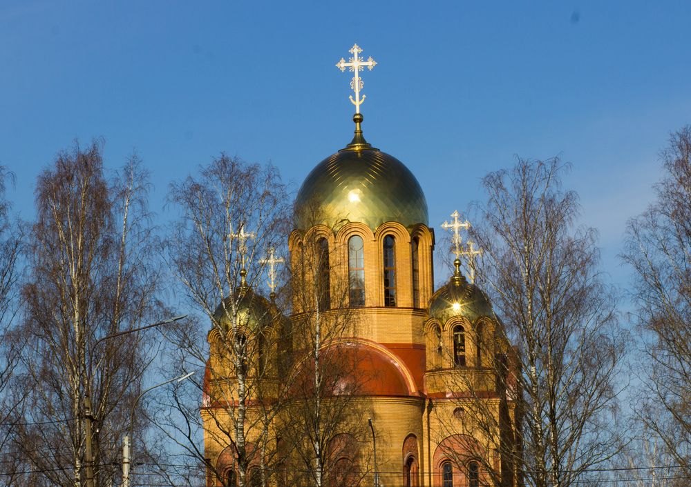 весна