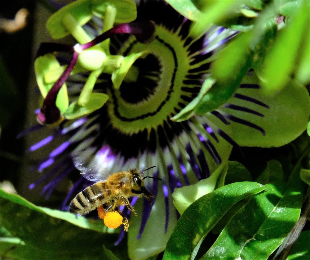 Photograph by Effie Zacharia