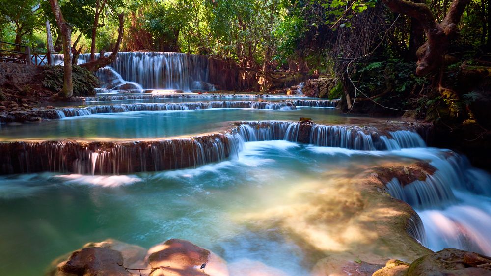 Photograph by Alexander Kaunas