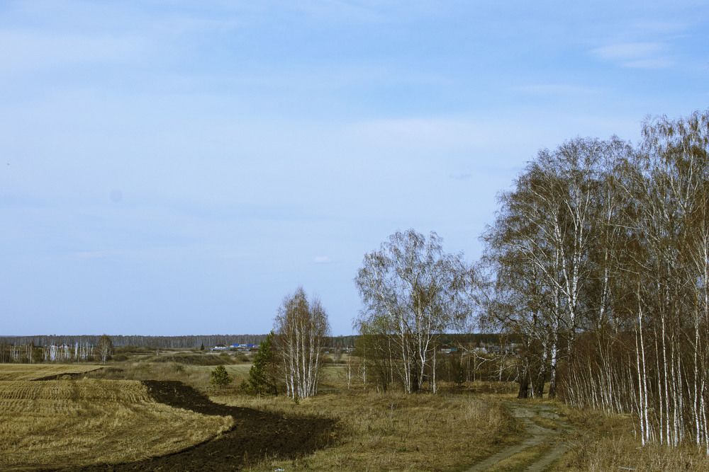 Photograph by Попел Ирина