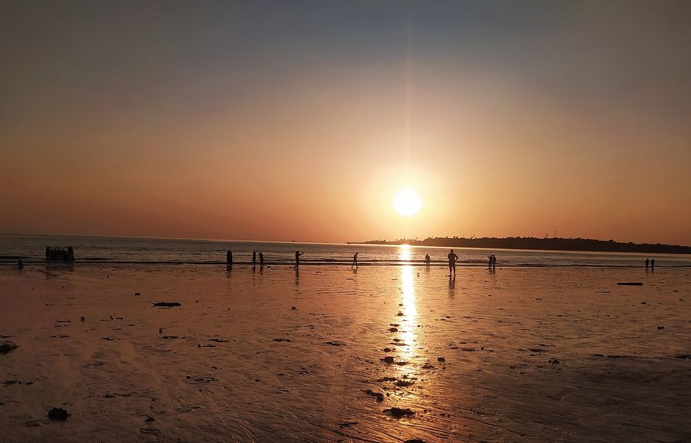 A golden Evening Sun Shine