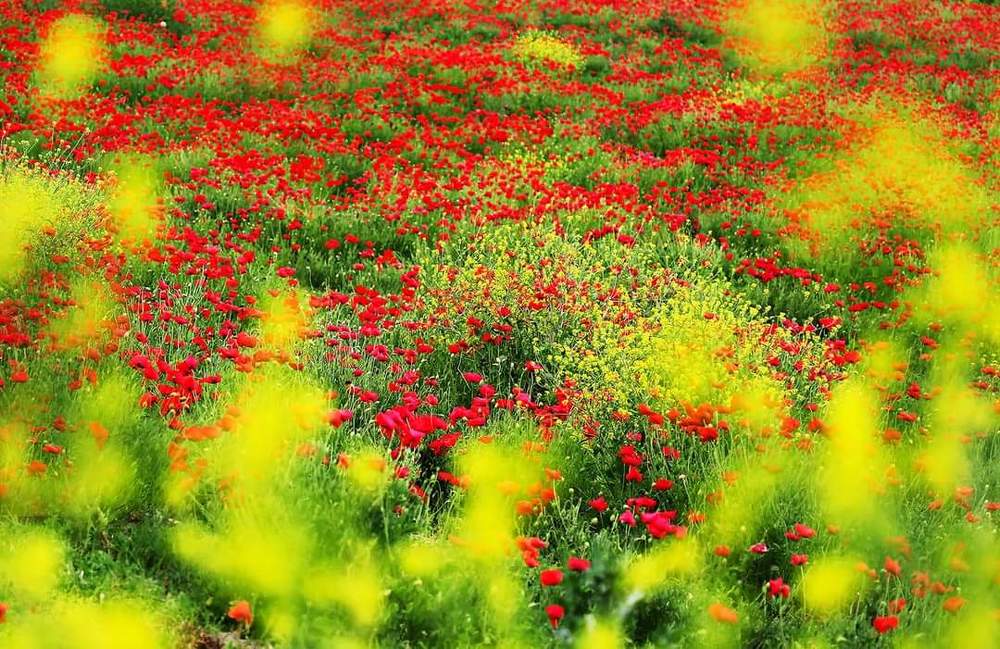 Photograph by ismeki Ekici