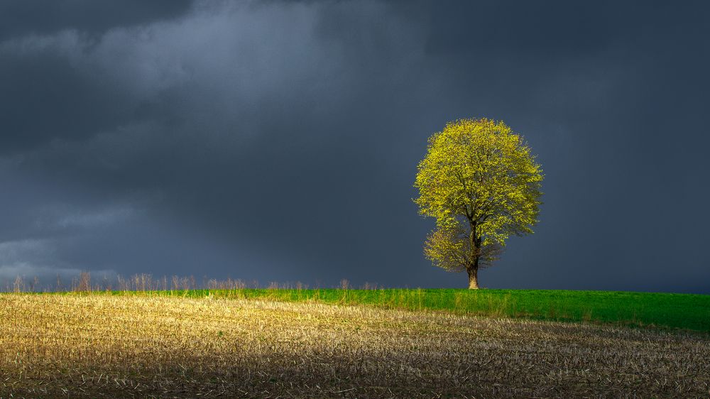 Photograph by Wiktor Kulesa