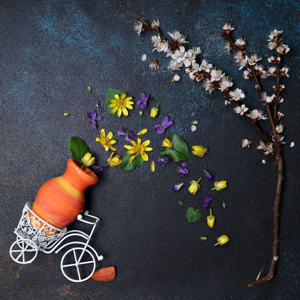 Photograph by Maryna Sydorova