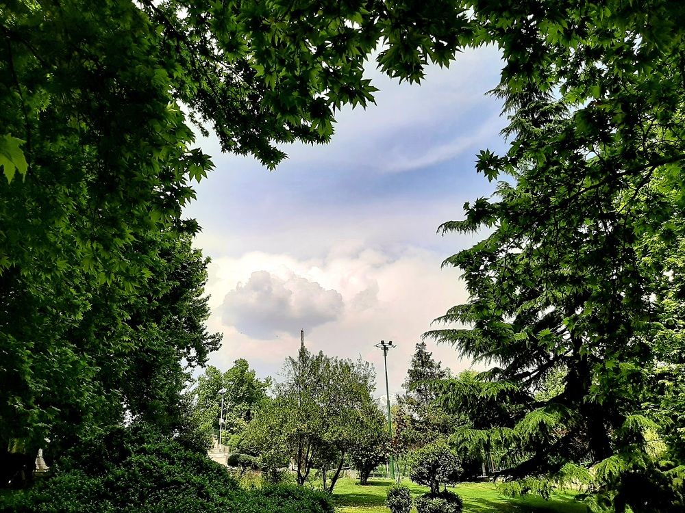 Photograph by Yasaman Kashef khayati nobar