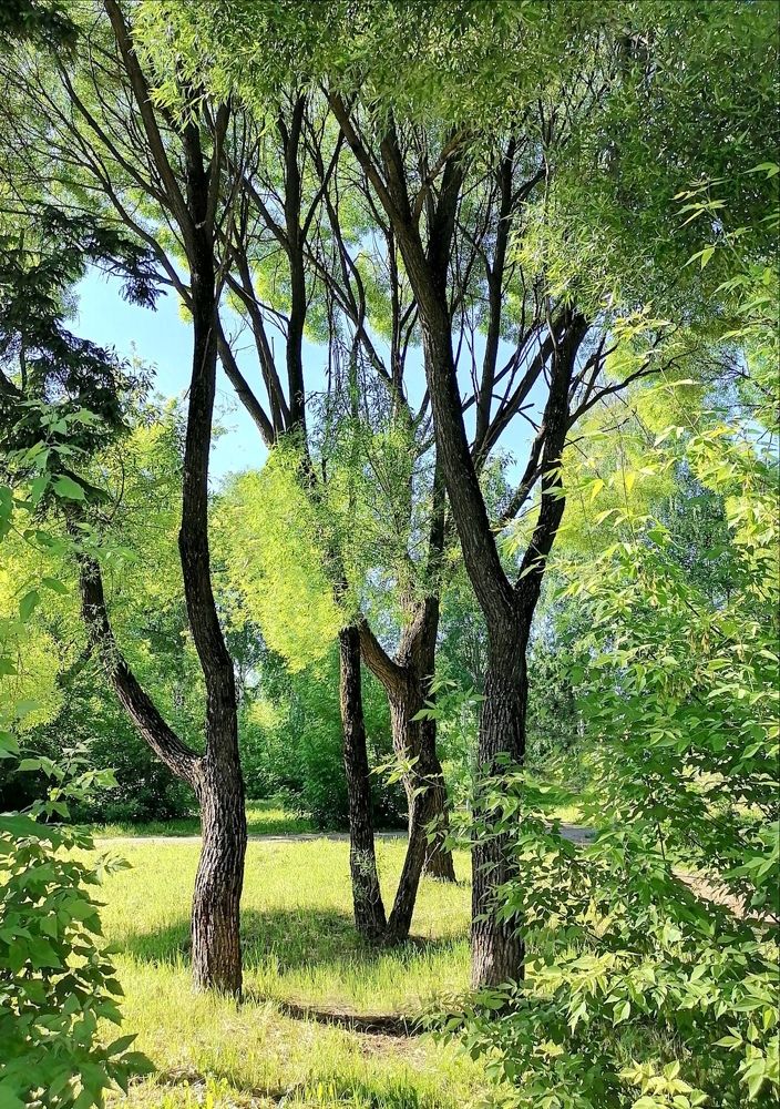 Photograph by Ольга