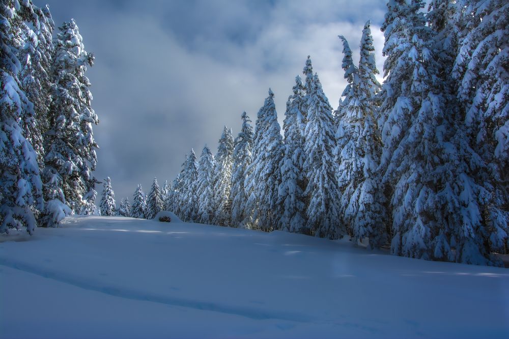 Photograph by Beno Medic