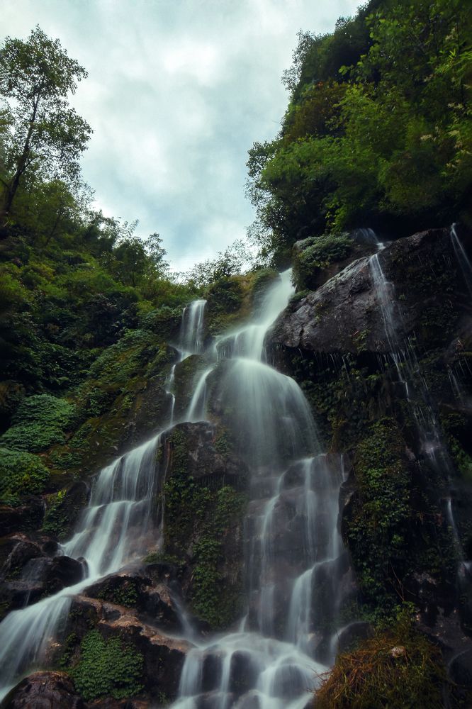 Photograph by Shuvrojit Biswas