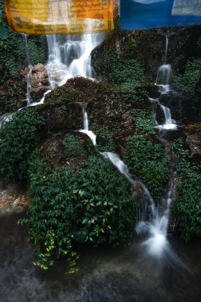 Photograph by Shuvrojit Biswas