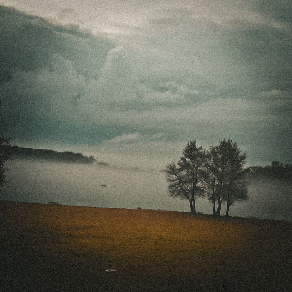 Photograph by Юлия Мишина