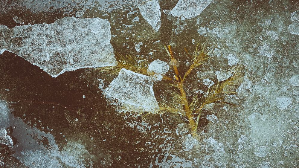 Photograph by Юлия Мишина