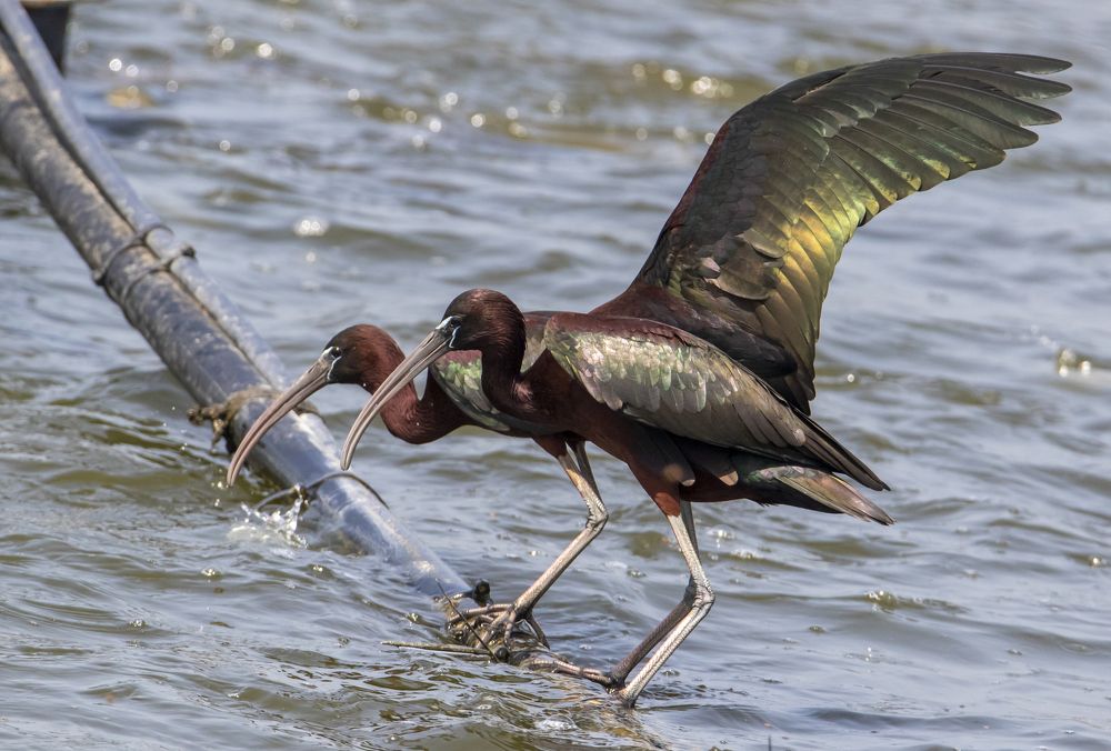 Photograph by Валентина Лопаткина