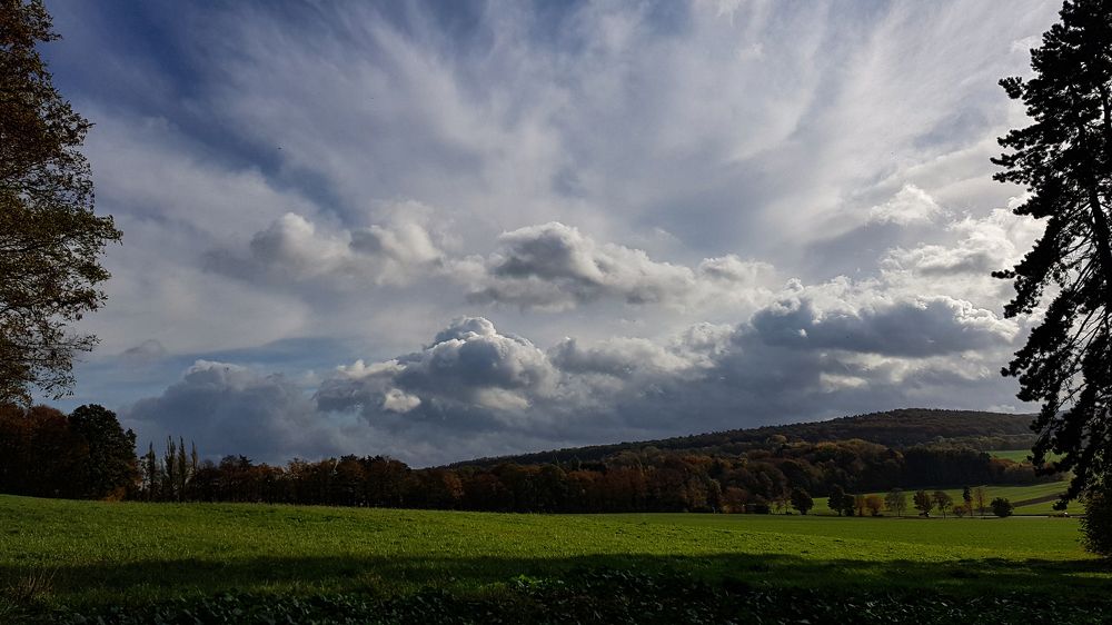 Фотография автора Mia Bernhardt