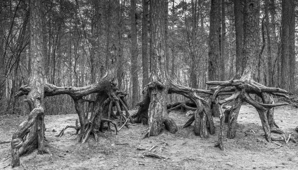 Photograph by Александр Забавка