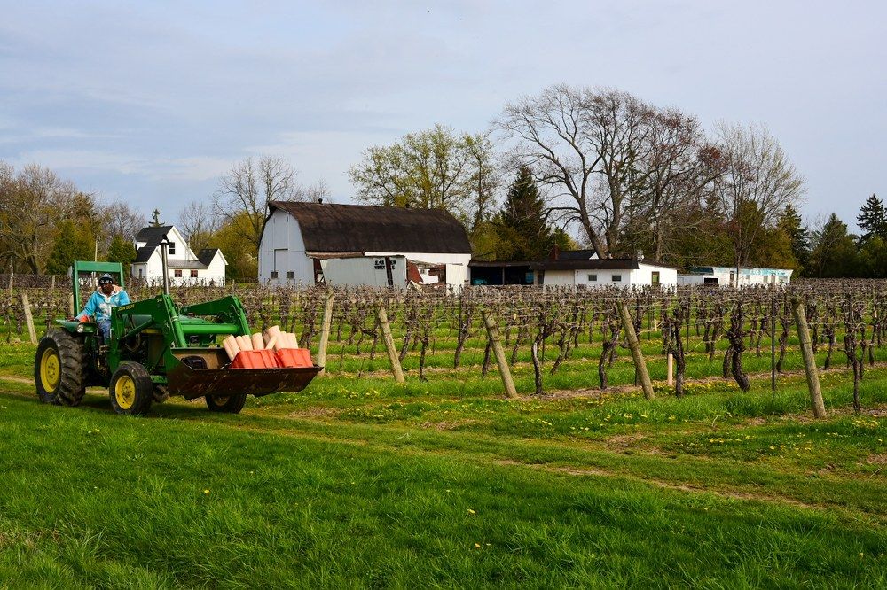 Photograph by Vitali Evtodi