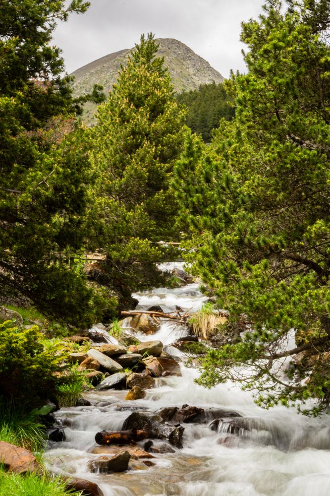 Фотография автора Fernando