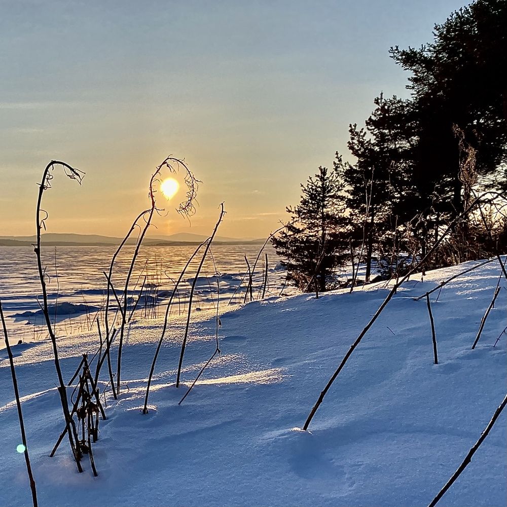 Photograph by Виктория Ярина