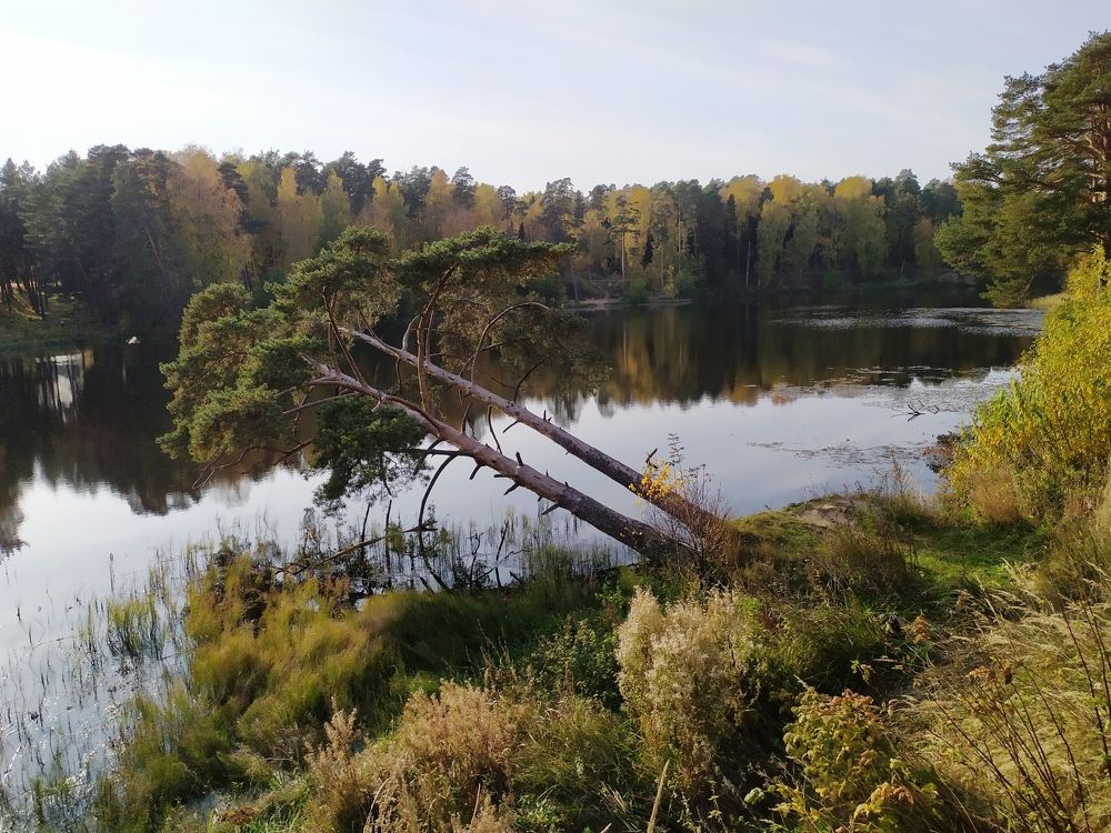 Photograph by Наталья Щербатюк