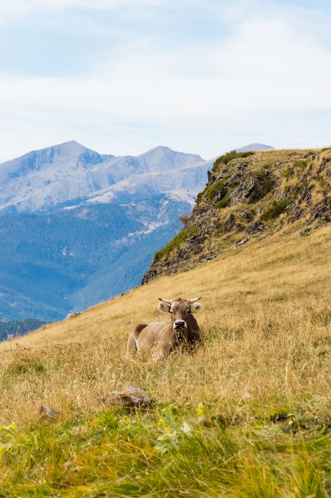 Фотография автора Fernando