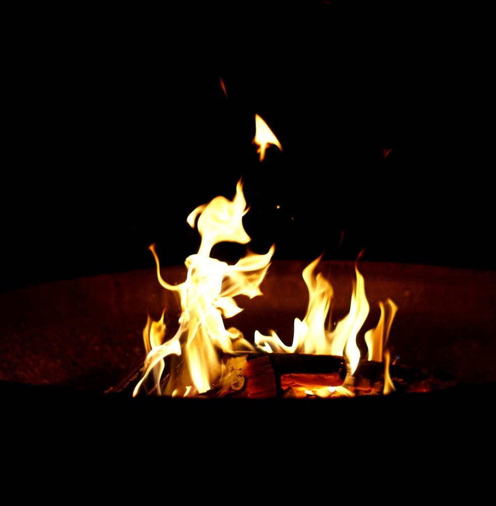 Фотография автора Mia Bernhardt