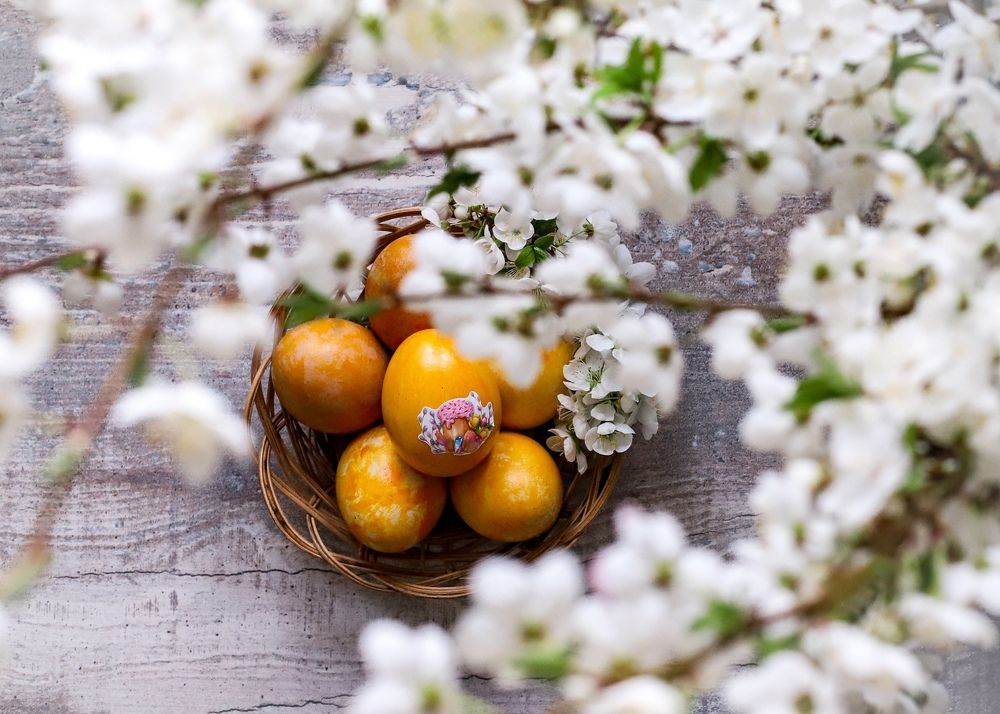 Photograph by Татьяна Куликова