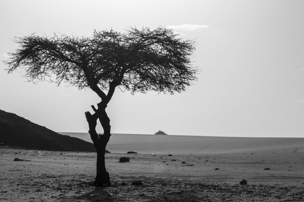 Photograph by Samia BENTEBBA