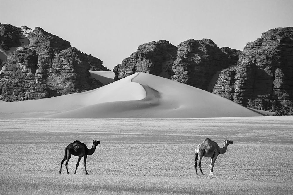 Photograph by BENTEBBA Samia