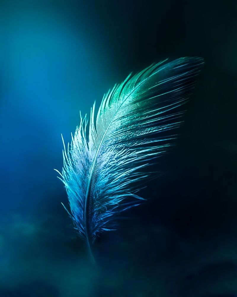 Photograph by Алена Круглик