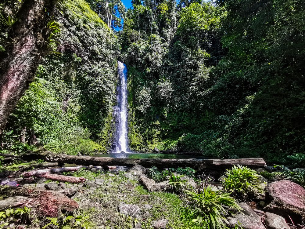 Photograph by Lola Vierse