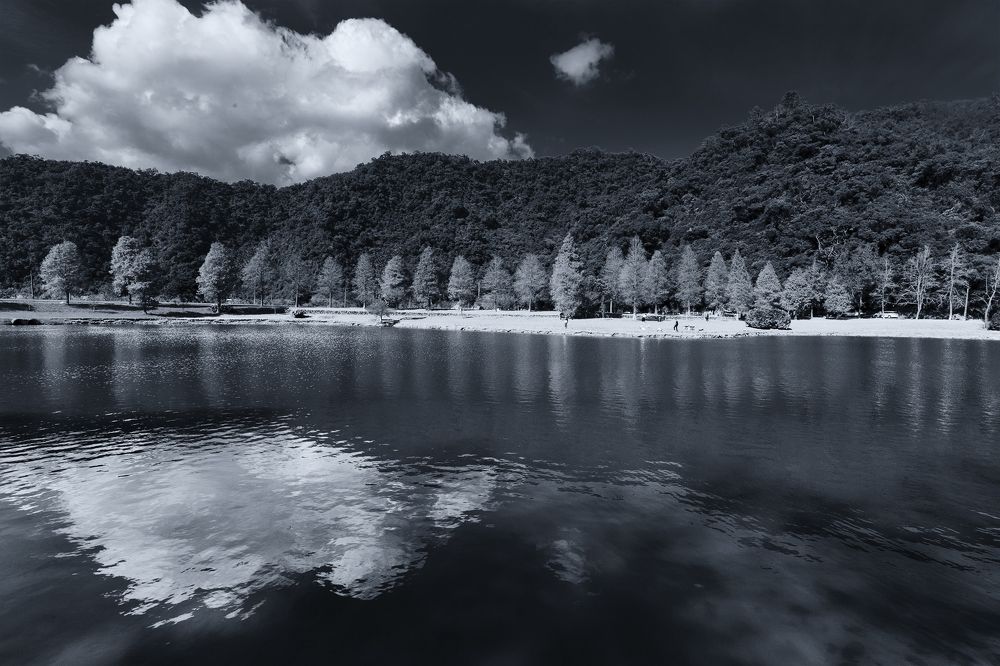 Photograph by Robin Tzuoo