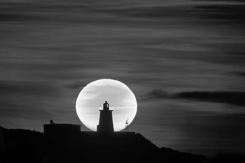 Photograph by Robin Tzuoo