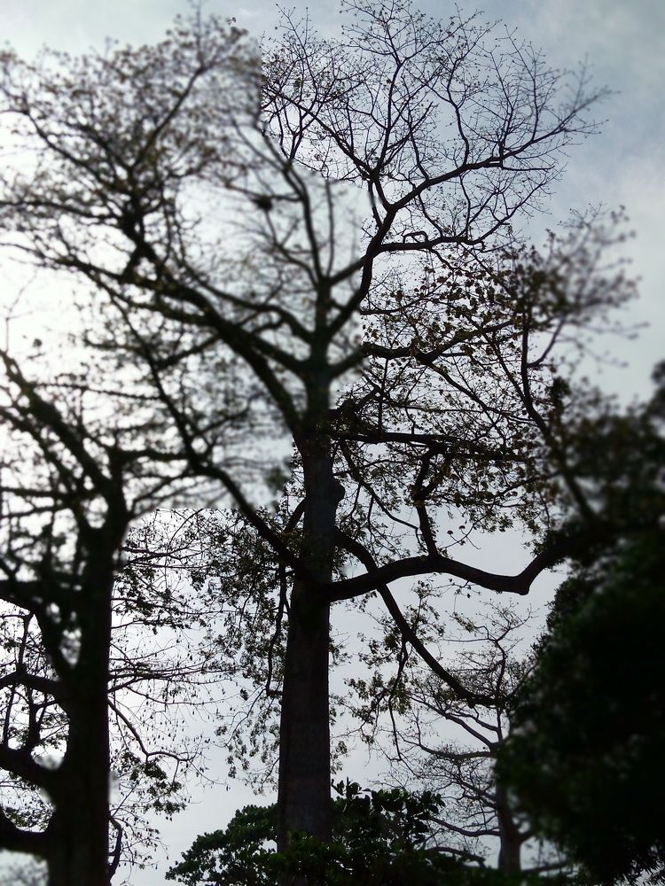 Photograph by Philippa Ohouo