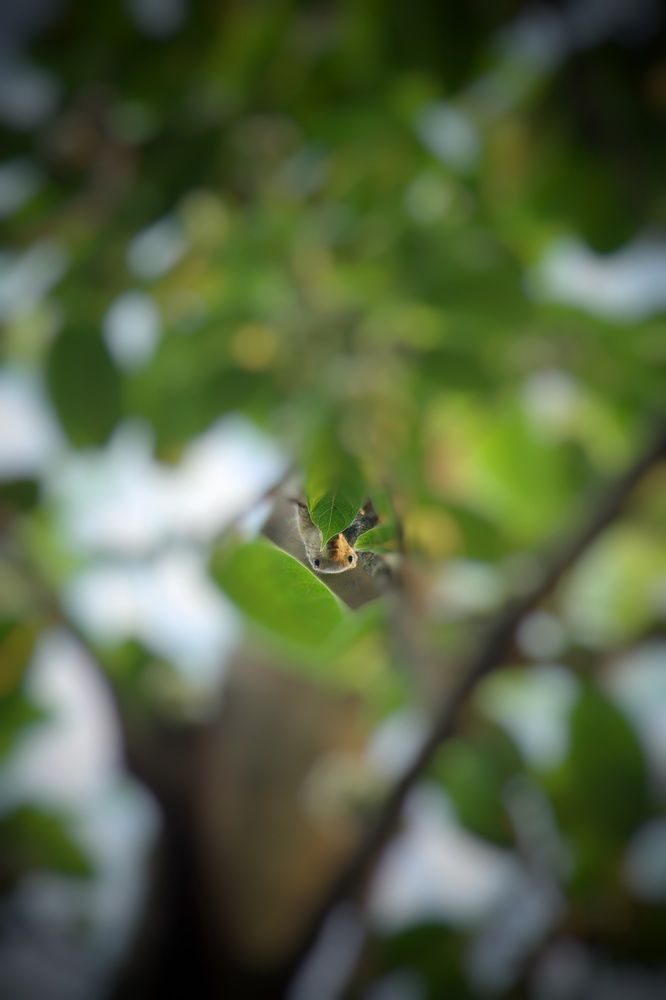 Photograph by DEBYENDU DAS