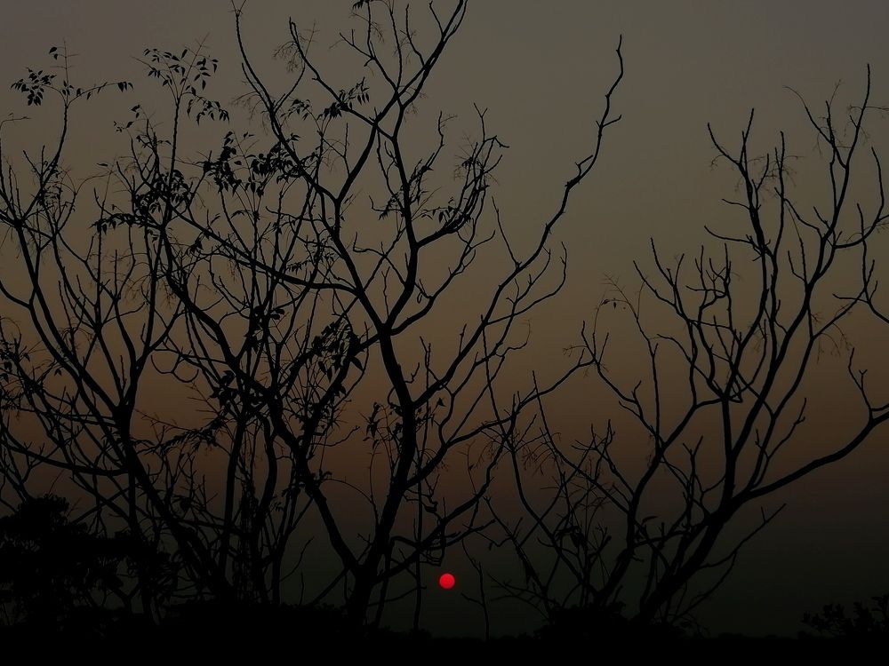 Photo #6057002